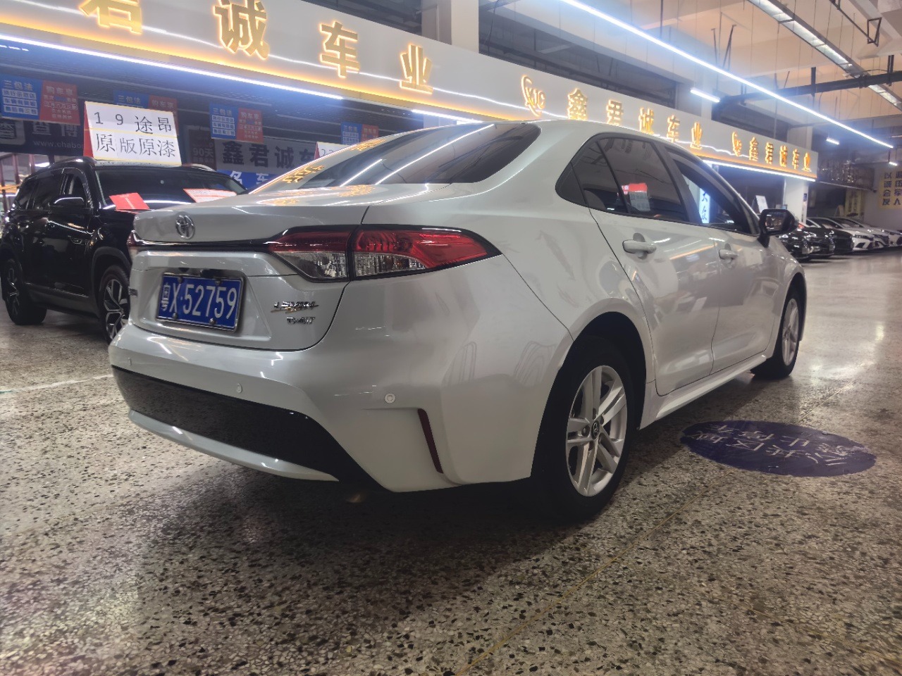 Toyota Levin