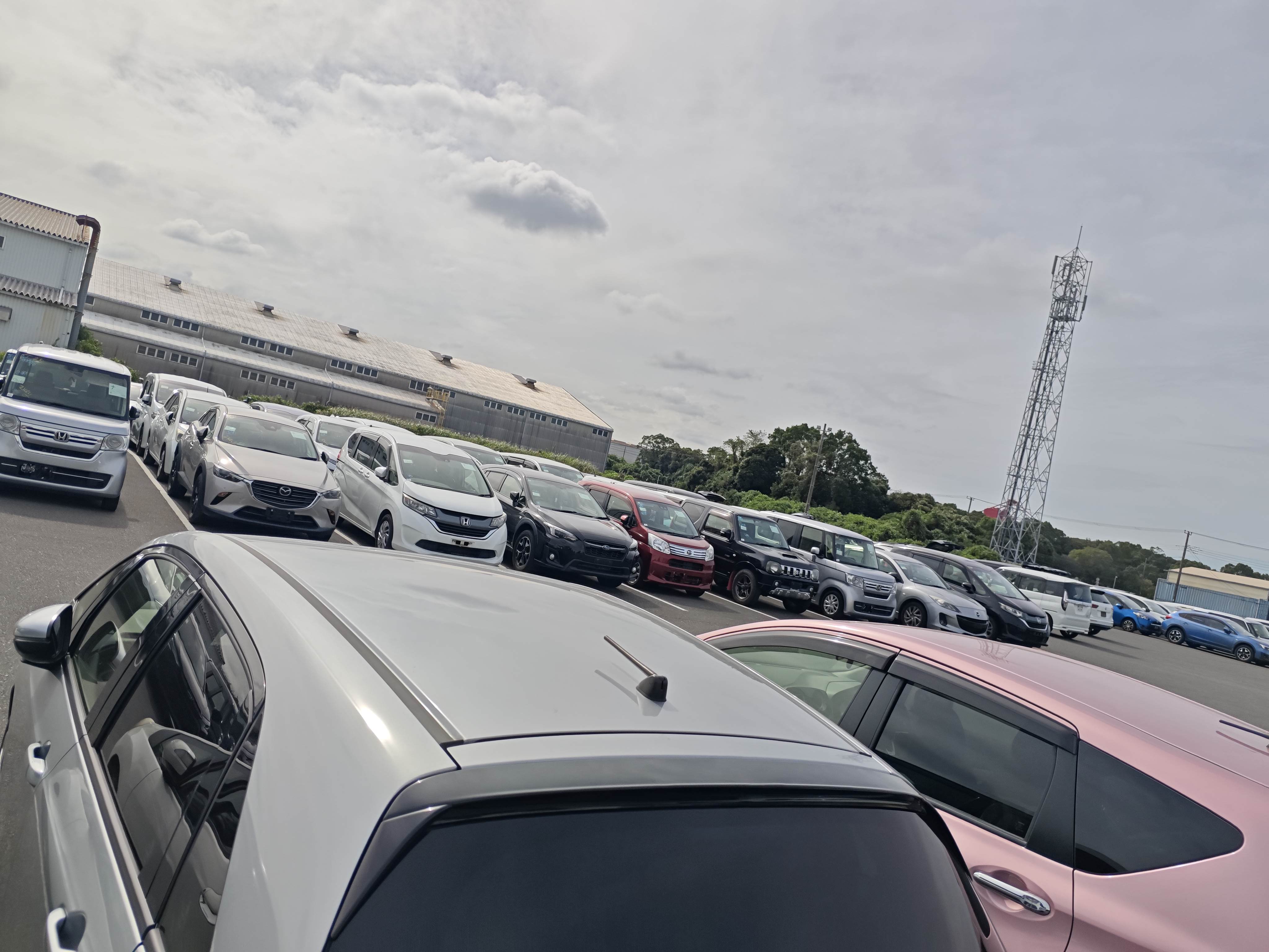 HONDA FIT