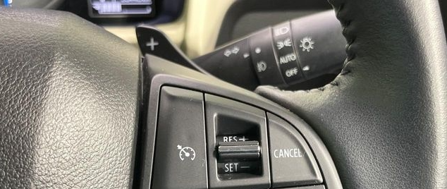Suzuki X-Bee