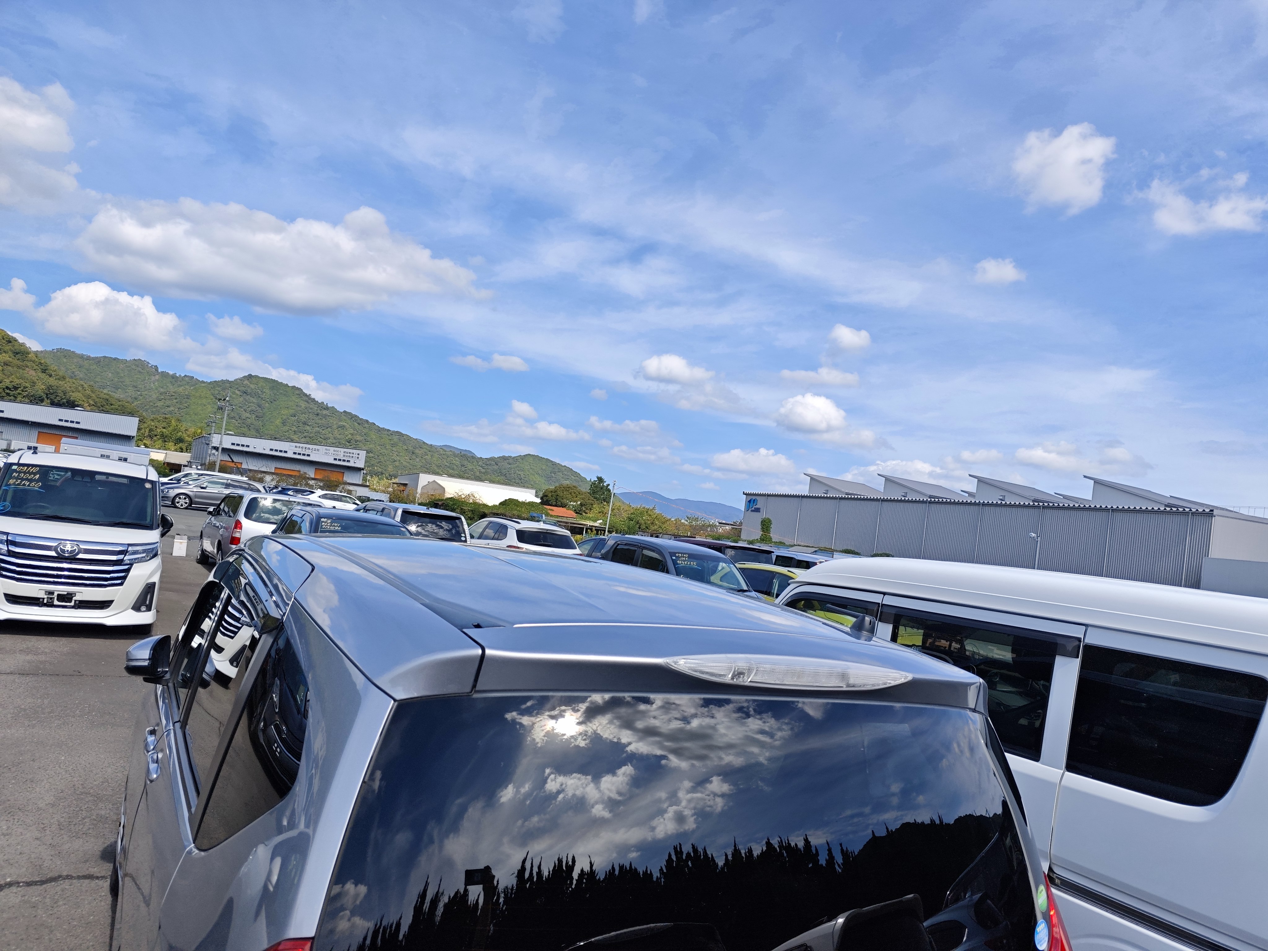 HONDA FREED+