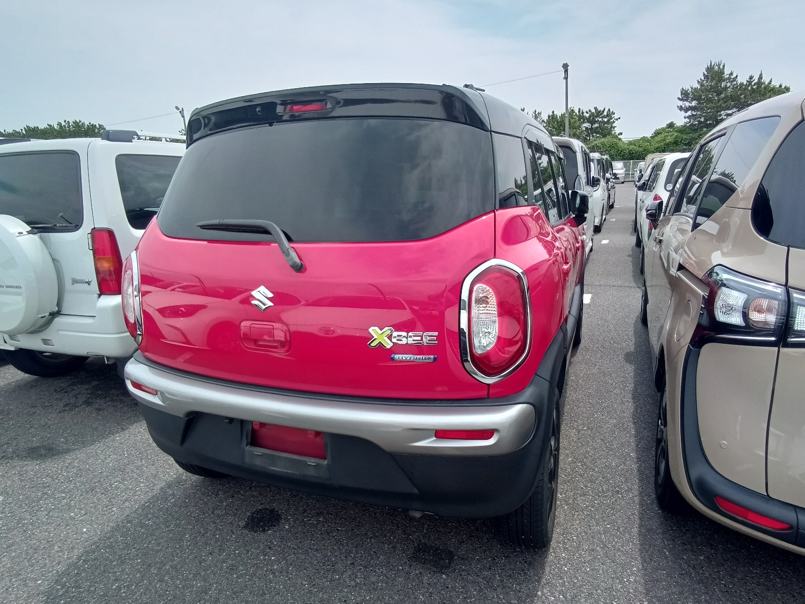 SUZUKI XBEE