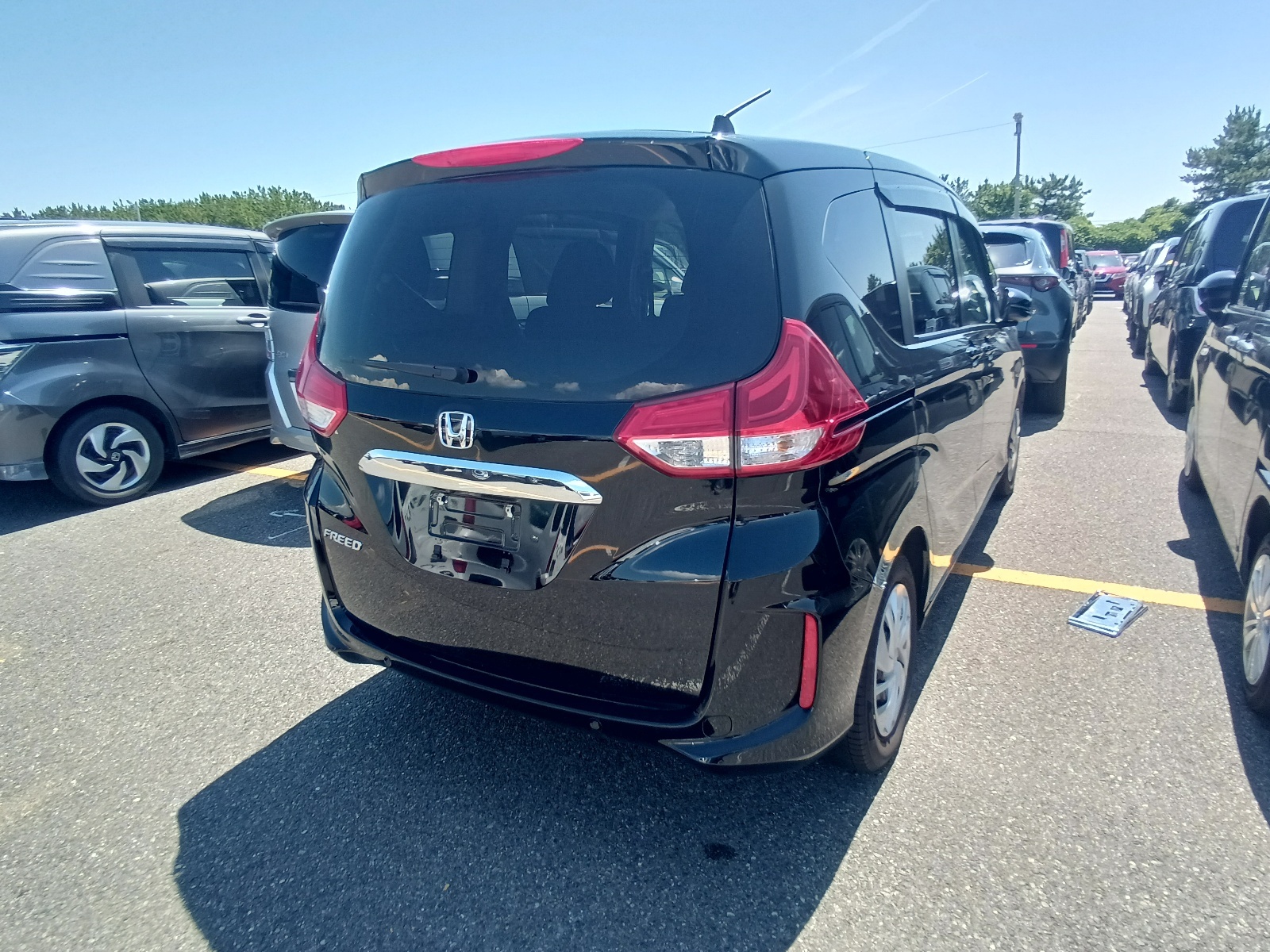 HONDA FREED