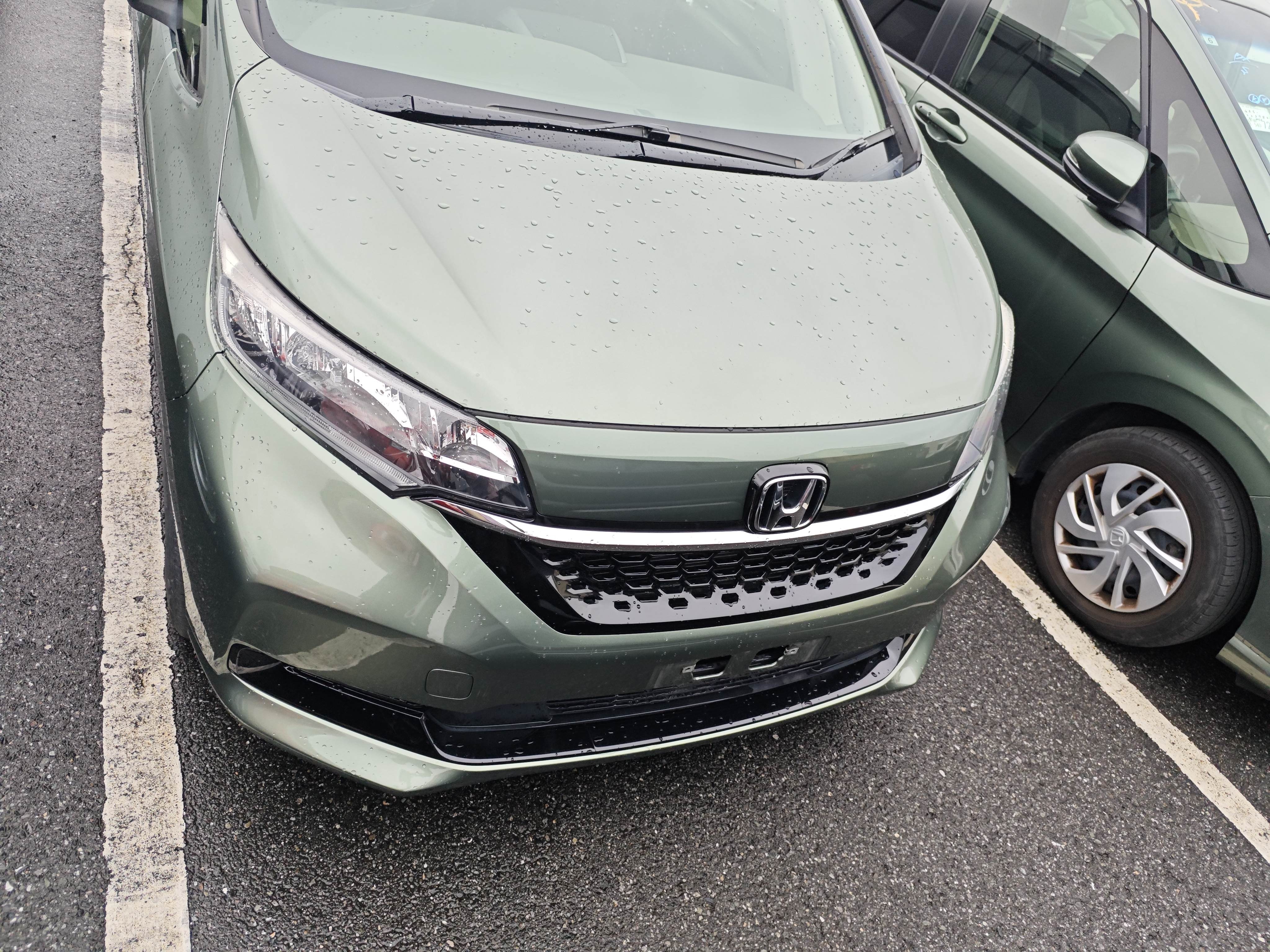 HONDA FREED