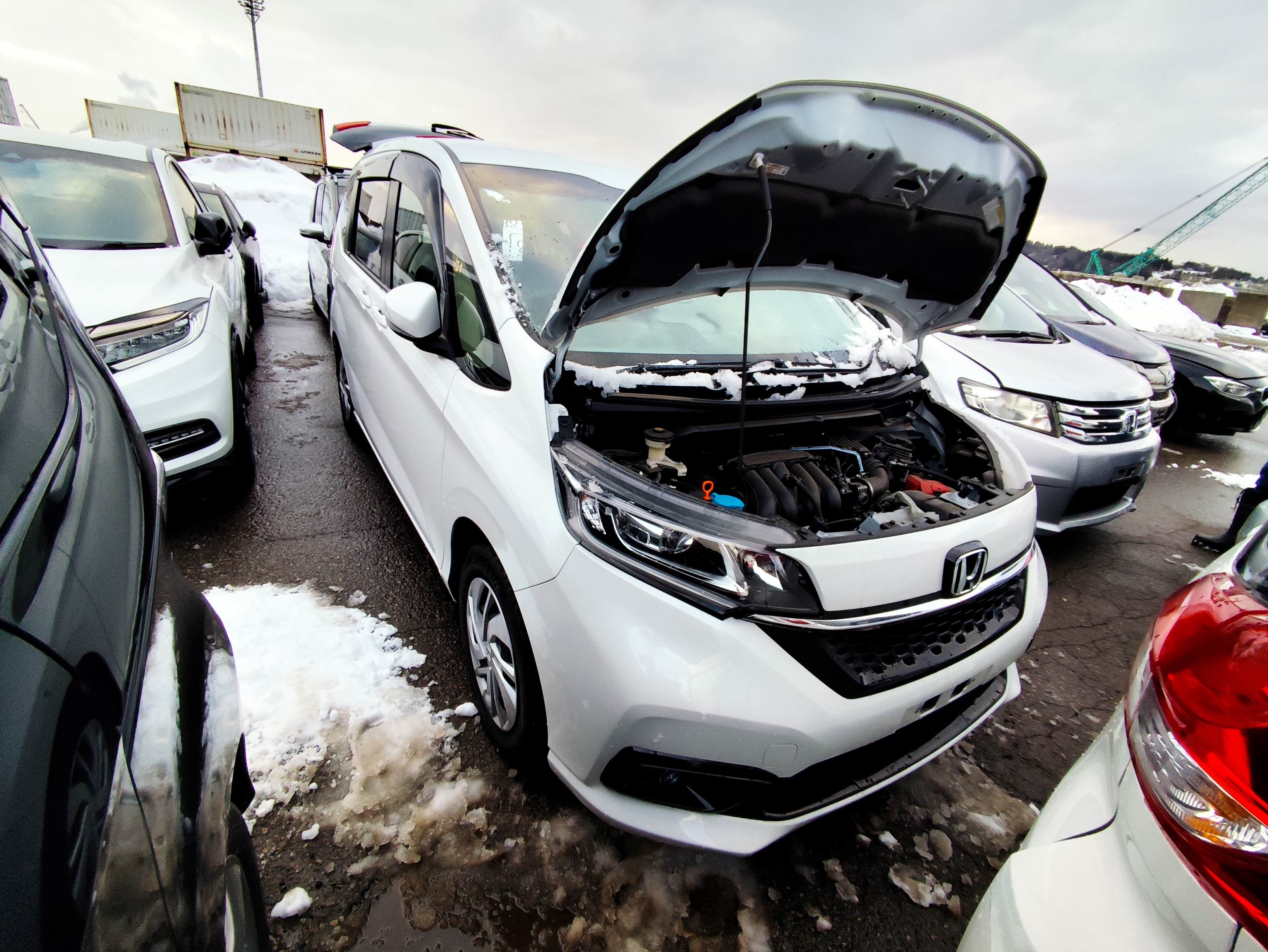 HONDA FREED+