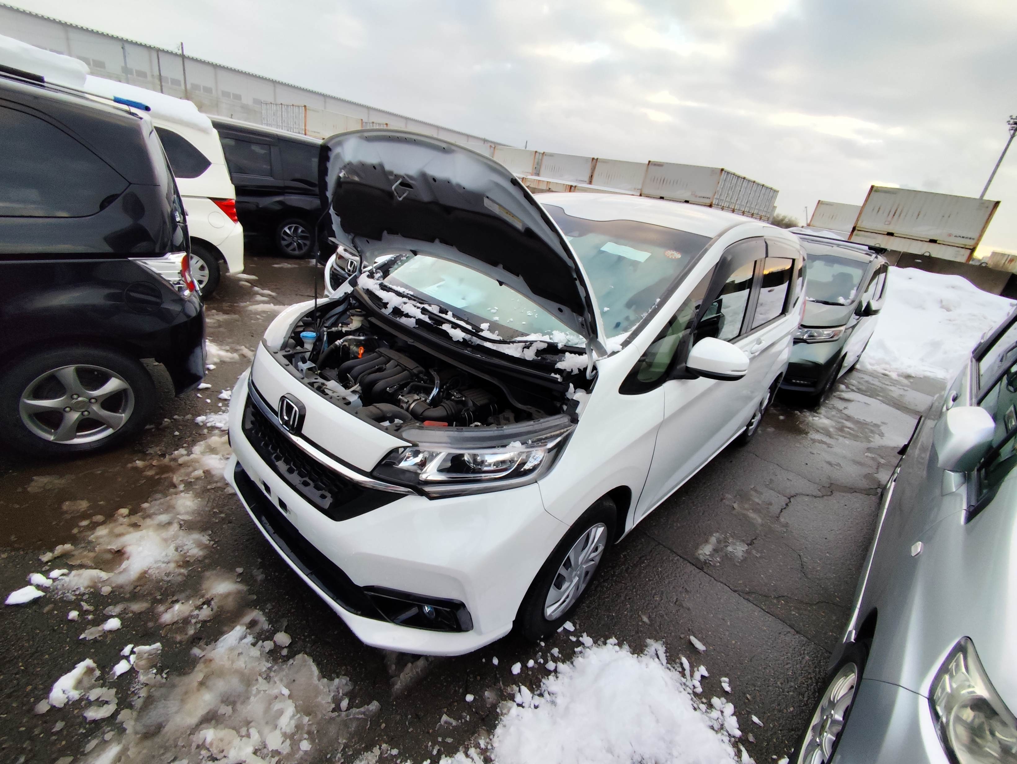 HONDA FREED+