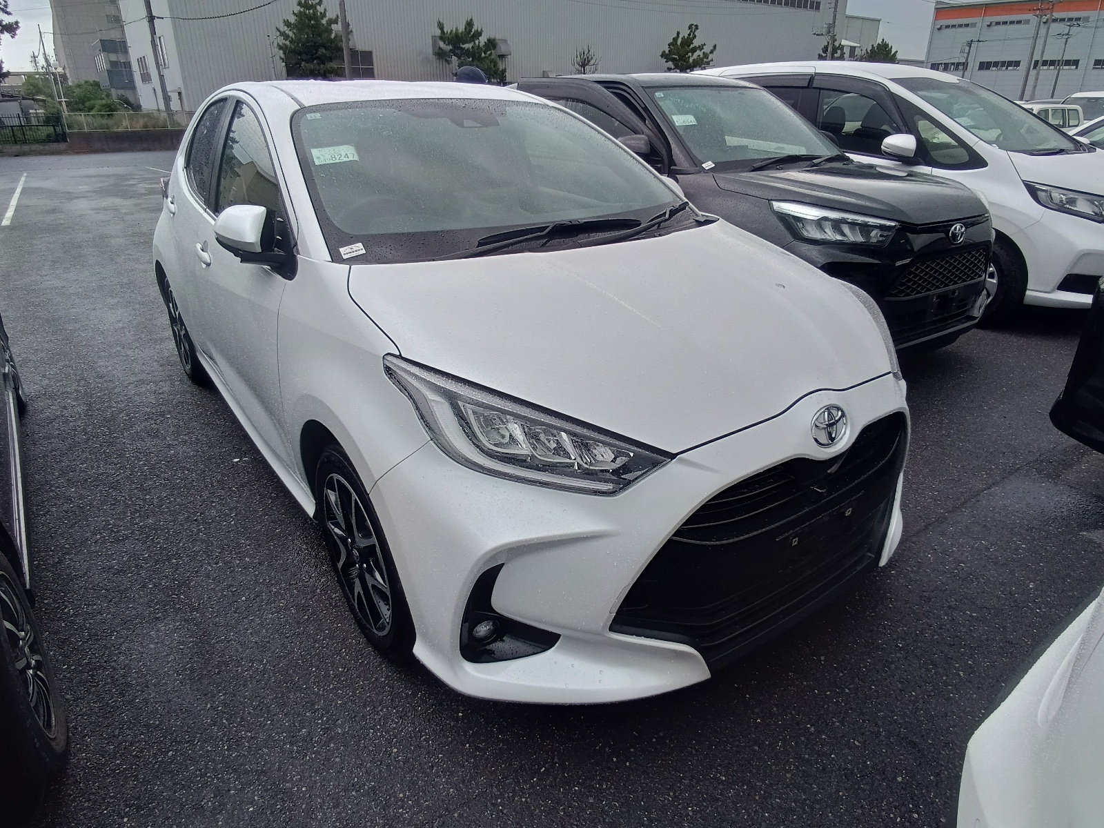 TOYOTA YARIS